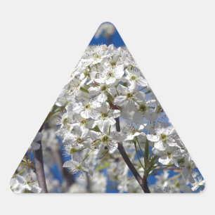Bradford Pear Blooms Triangle Sticker