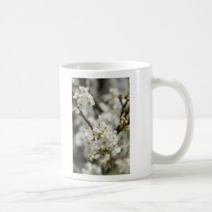 Bradford Select Focus Coffee Mug