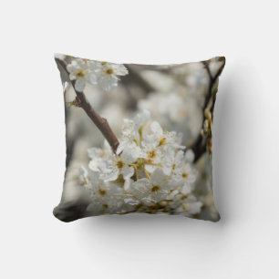 Bradford Select Focus Cushion