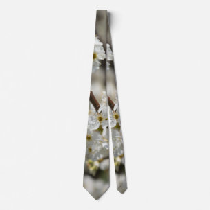 Bradford Select Focus Tie