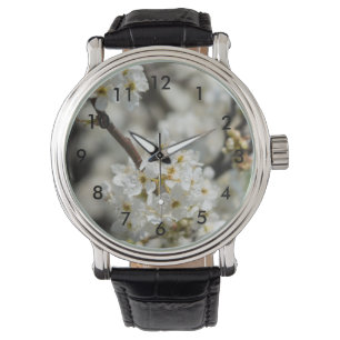 Bradford Select Focus Watch