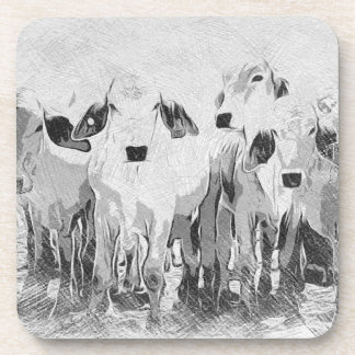 Brah-avo Set of 6 Coasters