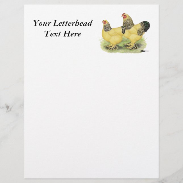 Brahma Buff Pair (Front)