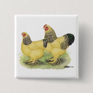 Brahma Buff Pair 15 Cm Square Badge