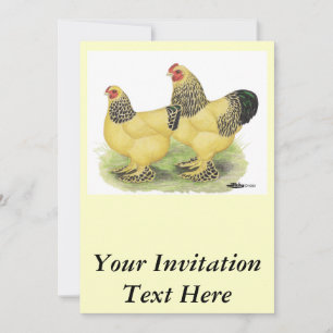Brahma Buff Pair Invitation