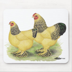 Brahma Buff Pair Mouse Mat