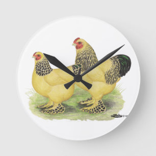 Brahma Buff Pair Round Clock