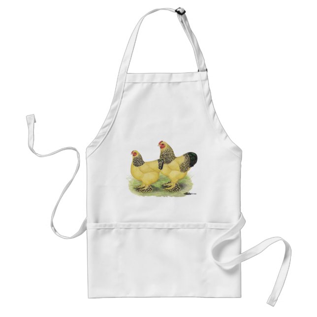 Brahma Buff Pair Standard Apron (Front)