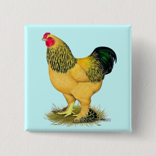 Brahma:  Buff Rooster 15 Cm Square Badge (Front)