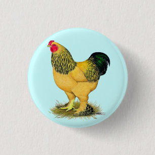 Brahma: Buff Rooster 3 Cm Round Badge