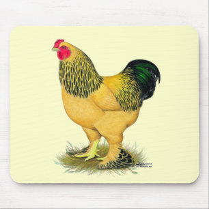Brahma: Buff Rooster Mouse Mat