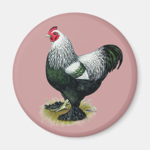 Brahma: Dark Rooster Magnet