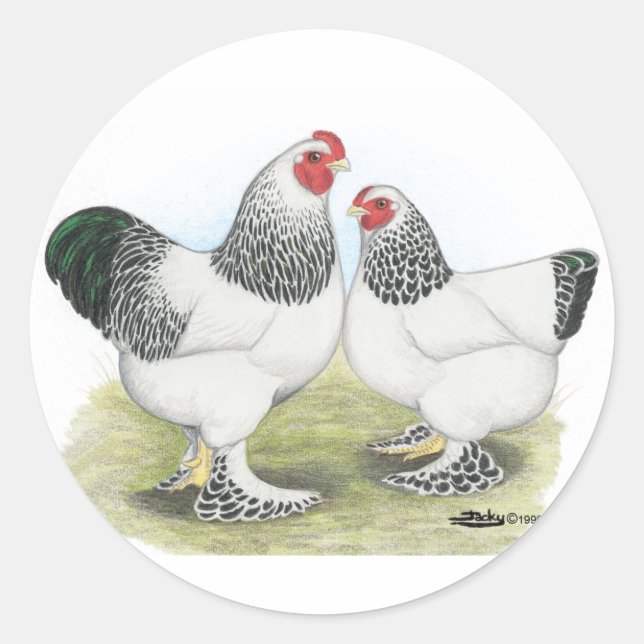 Brahma:  Light2 Classic Round Sticker (Front)