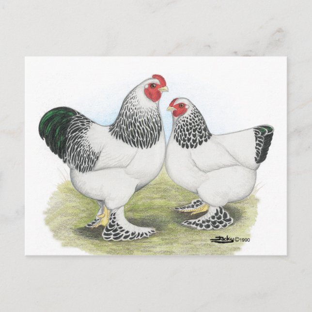 Brahma:  Light2 Postcard (Front)