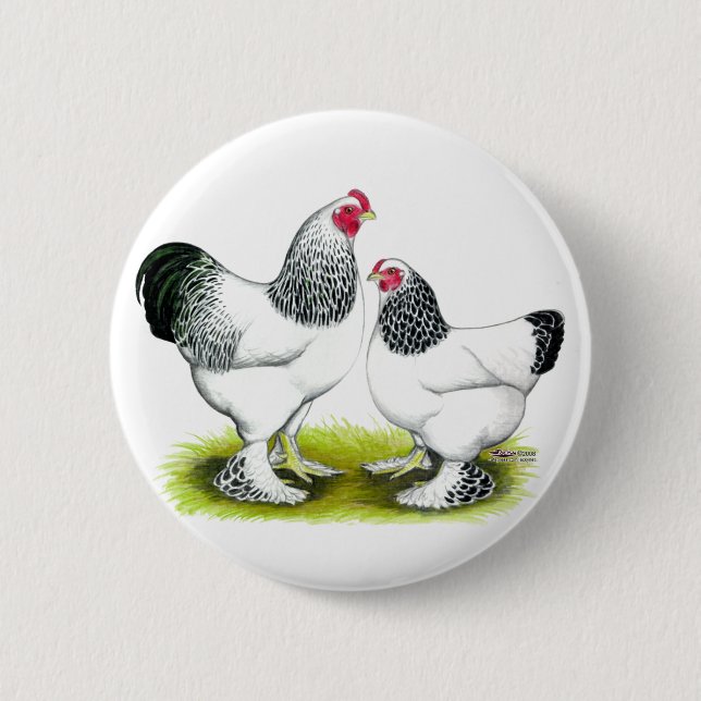 Brahma:  Light 6 Cm Round Badge (Front)