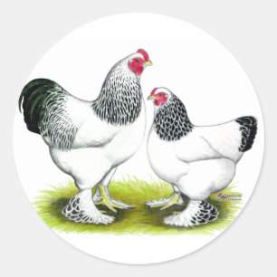 Brahma:  Light Classic Round Sticker