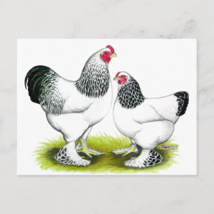 Brahma: Light Postcard