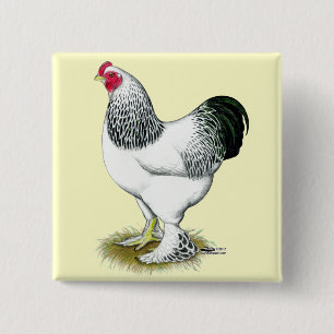 Brahma:  Light Rooster 15 Cm Square Badge