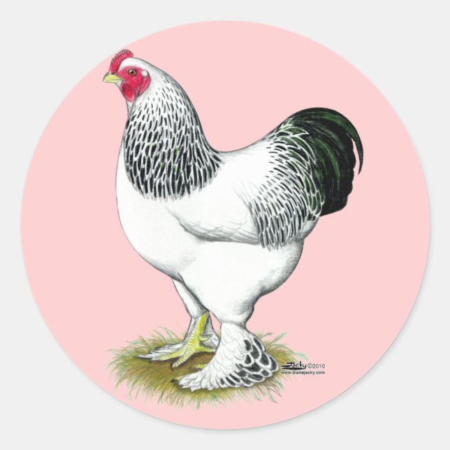 Brahma:  Light Rooster Classic Round Sticker (Front)