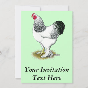 Brahma:  Light Rooster Invitation