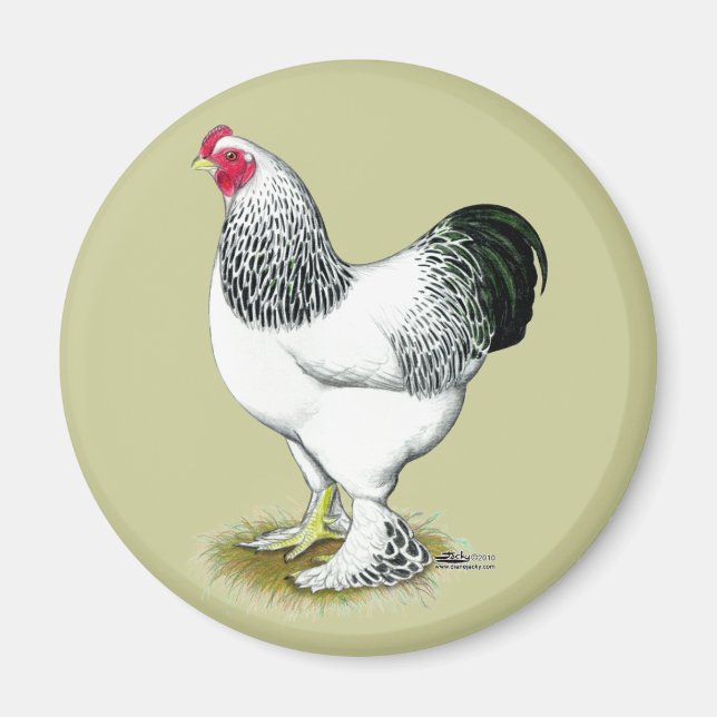 Brahma:  Light Rooster Magnet (Front)