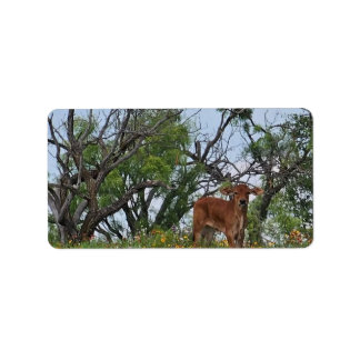 Brahman Calf in Wildflowers Label