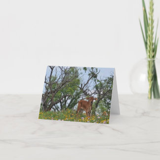 Brahman Calf in Wildflowers Thank You Card