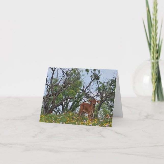 Brahman Calf in Wildflowers Thank You Card (Front)