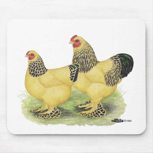 Brahmas:  Buff Bantams Mouse Mat (Front)