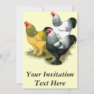 Brahmas Three Roosters Invitation