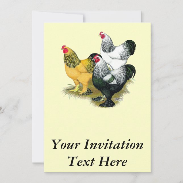 Brahmas Three Roosters Invitation (Front)