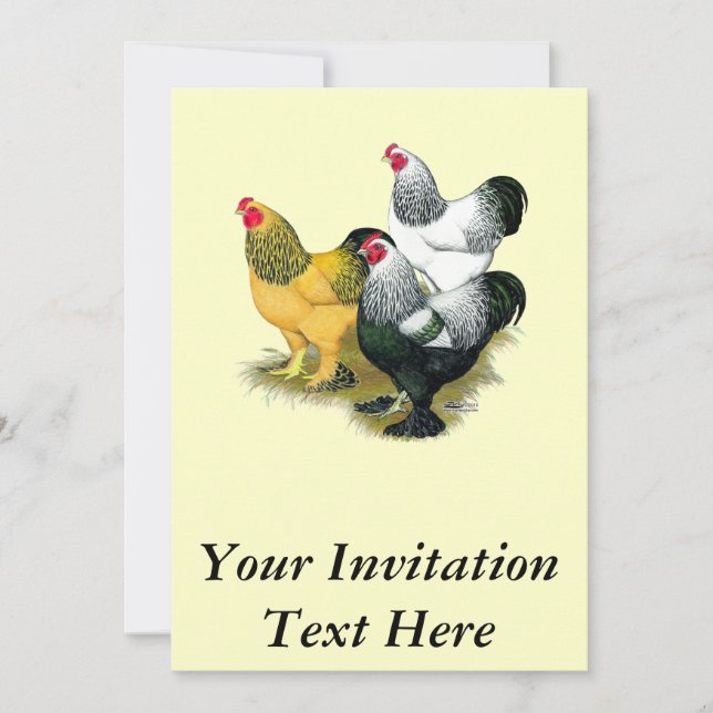 Brahmas Three Roosters Invitation (Front)