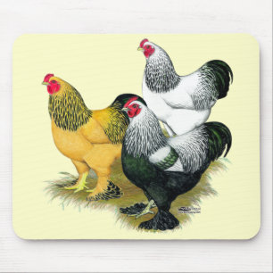 Brahmas Three Roosters Mouse Mat