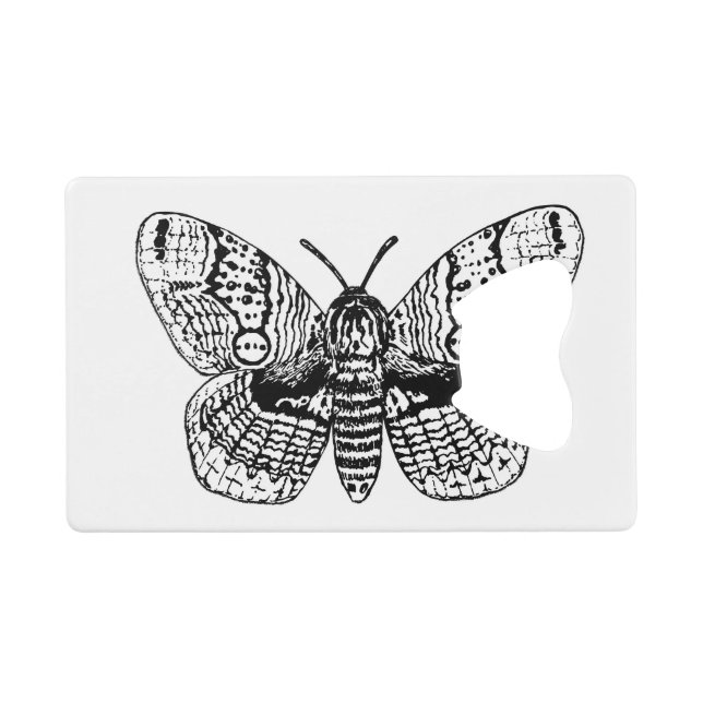 Brahmin moth drawing (Front (Horizontal))