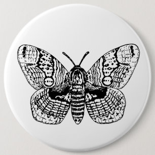 Brahmin moth drawing 6 cm round badge