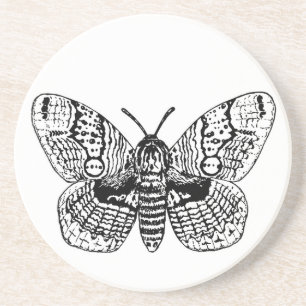 Brahmin moth drawing coaster