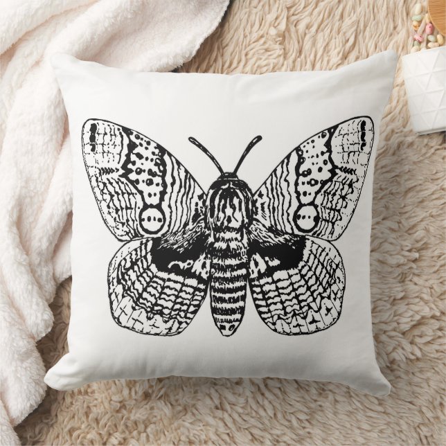 Brahmin moth drawing cushion (Blanket)