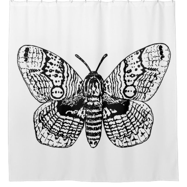 Brahmin moth drawing shower curtain (Front)