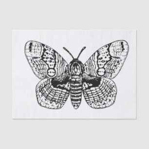 Brahmin moth drawing tissue paper