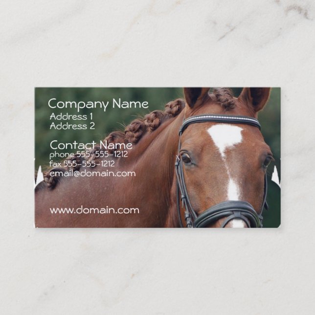 Braided Horse Mane Business Card (Front)
