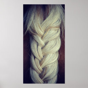 Braided Tail Poster