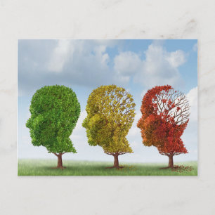 Brain Aging Postcard