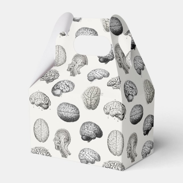 Brain Anatomy Biology Illustrations Favour Box (Front Side)