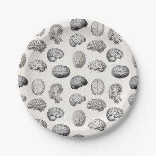 Brain Anatomy Biology Illustrations Paper Plate