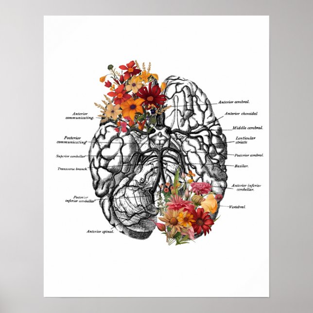 Brain Anatomy Flowers Anatomical Art Poster (Front)