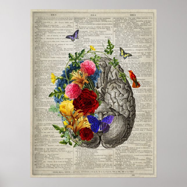 Brain Anatomy Flowers Hummingbird Butterflies  Poster (Front)