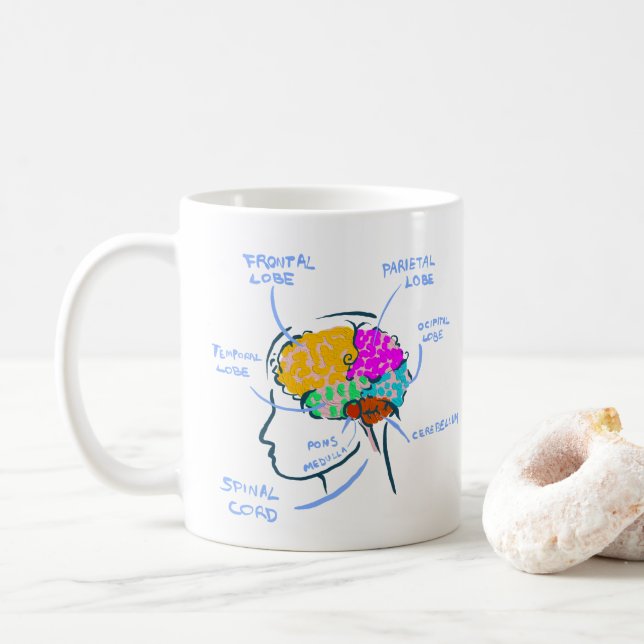 Brain anatomy painted illustration with labels coffee mug (With Donut)