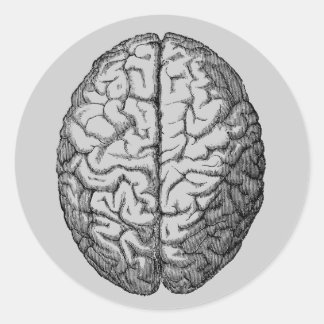 Brain Classic Round Sticker