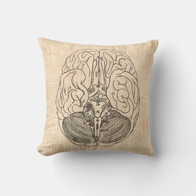Brain Diagram Vintage Medical Art Cushion (Front)