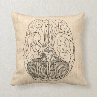 Brain Diagram Vintage Medical Art Cushion
